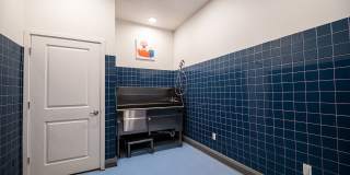 Trails at Hunter's Lake Gallery 23