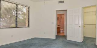 5413 W Fallen Leaf Lane Gallery 20