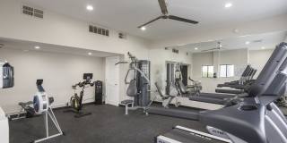 Cottonwood Terrace Gallery 13