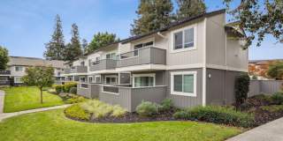 Sofi Berryessa Gallery 22