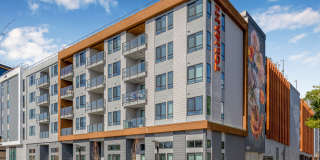 The Tolman Gallery 1