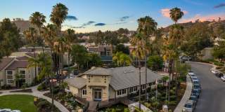 Park Pointe Gallery 38