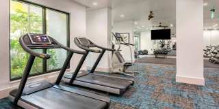 Advenir at Lighthouse Point Gallery 14