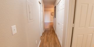 Lake Forest Gallery 52