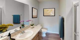 Ravines at Taylor Gallery 9