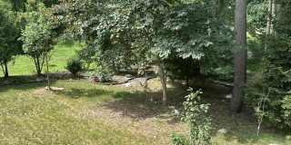2708 Trillium Hills Drive Gallery 48
