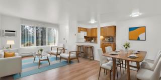 Shelby Courts Gallery 1