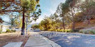 123 Warbler Lane Gallery 31