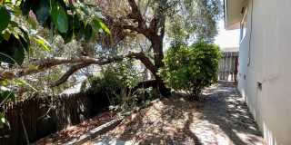 Walk to Campus from this 3-Bedroom in Monterey Heights Gallery 16