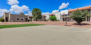 Falcon Court Gallery 11