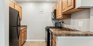 Windsor Forest Windsor Forest Gallery 2