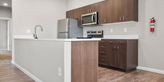 Spring Woods Gallery 9