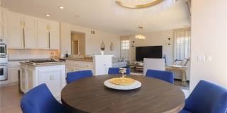 28462 La Plumosa Gallery 1