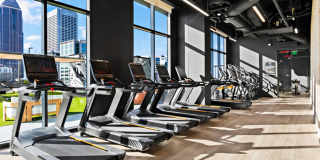 Society Atlanta Gallery 9