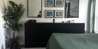 3447 Bernbrooke Shadow Ln Gallery 8