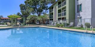 Sahara and Playa Palms Apartments Gallery 12