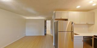 University Manor - Newly Renovated Units just a short walk from Campus! Gallery 4