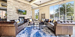Anatole on Briarwood Gallery 21