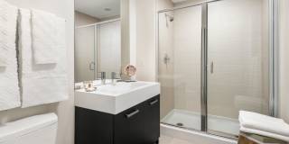 Roosevelt Collection Lofts Gallery 21