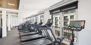 Oso Apartments Gallery 12