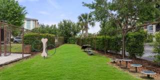 Citi Lakes Gallery 15