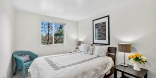 Tamaron Ranch Gallery 44