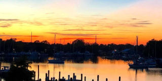 634 OYSTER BAY Place Gallery 33