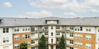 The Kingson Gallery 4