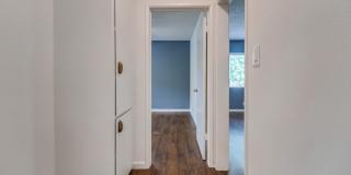 Classic Courtyard Building on Venice Blvd – Secure, Convenient, Pet-Friendly Gallery 11