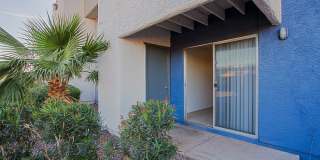 Paloma Village Gallery 8