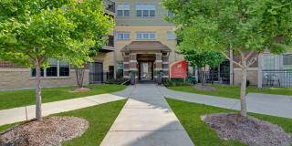 Swan Creek Gallery 20