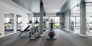 Elevate 114 Gallery 13