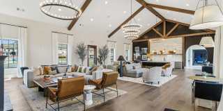 The Stafford Gallery 8