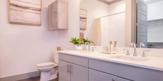 Reveal Skyline Gallery 37