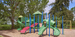 Forest Hill Village Gallery 28