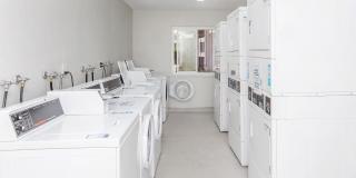 Ocean Vista Gallery 17