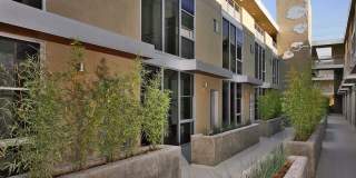 Oxy Lofts Gallery 19