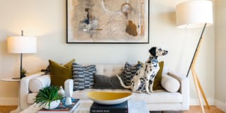 Nob Hill Tower Gallery 9