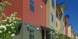 The Tennyson at Crescent Village Gallery 20