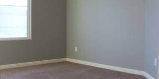 SHOWINGS AVAILABLE NOW Gallery 17