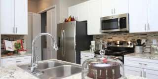 Kings Cove Gallery 1