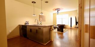 Settlement Place Gallery 266