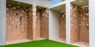 Camino Real Gallery 12