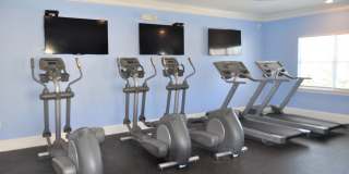 Alexandria Park Gallery 16