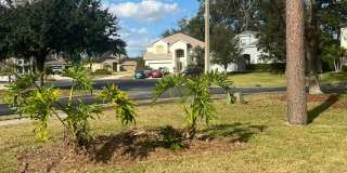 Pond View – 2 Car Garage – $2,375 Gallery 15