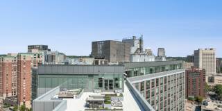 Continuum Gallery 12