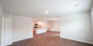 Available Now! Gallery 6