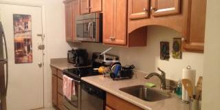 No Fee! Parking, Heat and Hot Water Included! Renovated, Sunny and Spacious!  Cat Friendly! Prime Location! Gallery 1