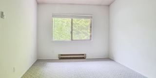 Charming, bright and peaceful condo close to ferries and shopping in Kingston! Charming, bright and peaceful condo close to ferries and shopping in Kingston! Gallery 15