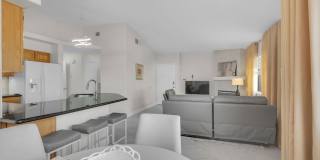1545 Lake Placid Terrace Gallery 7